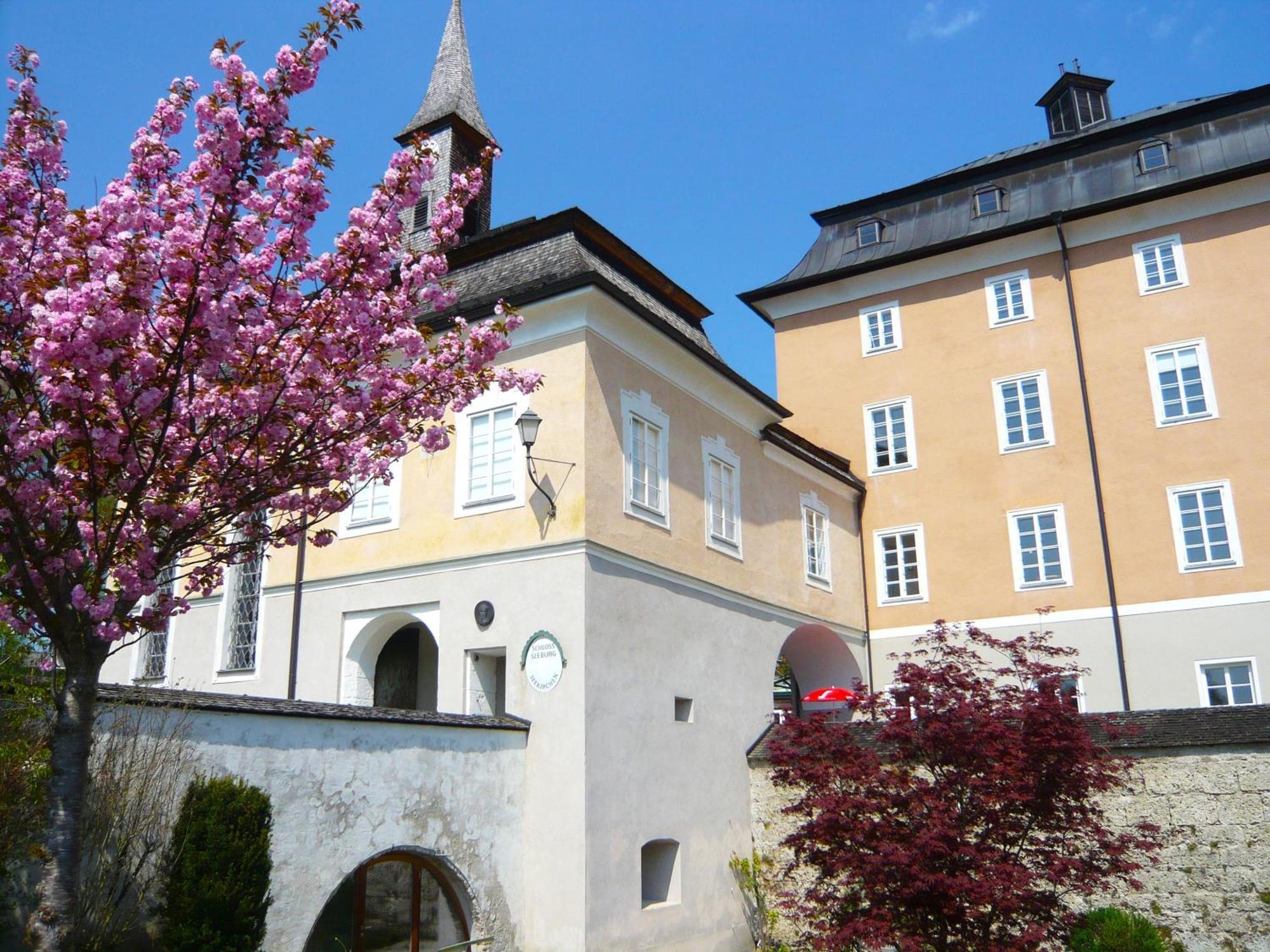 Haus Am Weinberg Apartment Seekirchen am Wallersee Bagian luar foto